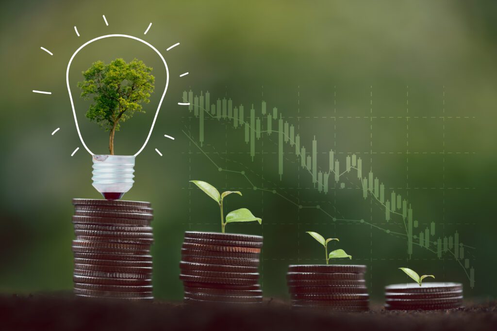 consumo consciente de energia